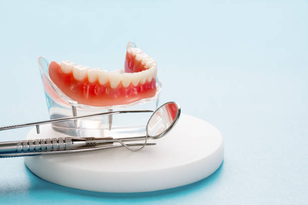 Professional  Holistic Dental Services in Worthington Hills, KY